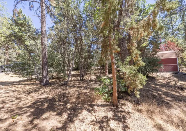 Homes for sale in Sugarloaf, CA | 810 Vista Ave, Sugarloaf, CA 92386 | MLS# 219149469PS