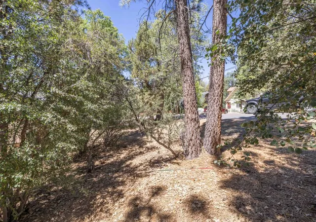 Homes for sale in Sugarloaf, CA | 810 Vista Ave, Sugarloaf, CA 92386 | MLS# 219149469PS