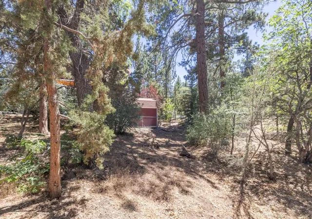 Homes for sale in Sugarloaf, CA | 810 Vista Ave, Sugarloaf, CA 92386 | MLS# 219149469PS