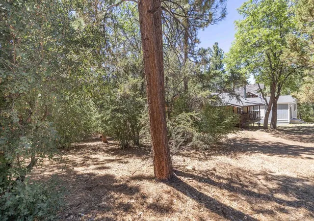 Homes for sale in Sugarloaf, CA | 810 Vista Ave, Sugarloaf, CA 92386 | MLS# 219149469PS