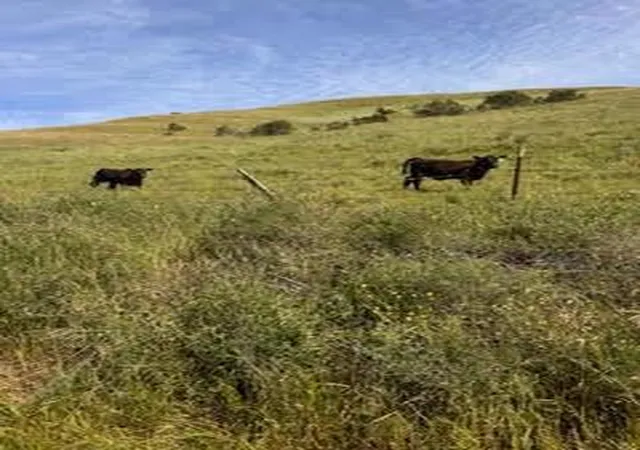 40th image of 1 Little Merrill Rd, San Juan Bautista, CA 95045 | MLS# ML82051786