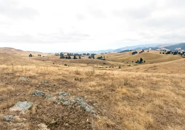 4th image of 1 Little Merrill Rd, San Juan Bautista, CA 95045 | MLS# ML82051786