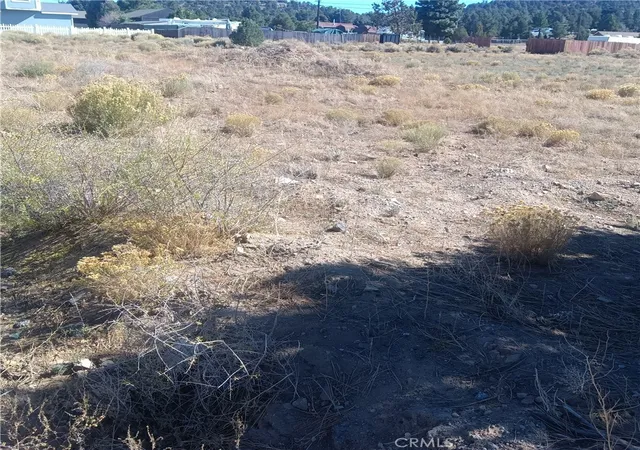 12th image of 777 Old Pioneer Town Rd, Baldwin Lake, CA 92314 | MLS# JT26135553