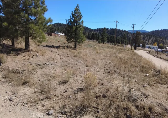 2nd image of 777 Old Pioneer Town Rd, Baldwin Lake, CA 92314 | MLS# JT26135553