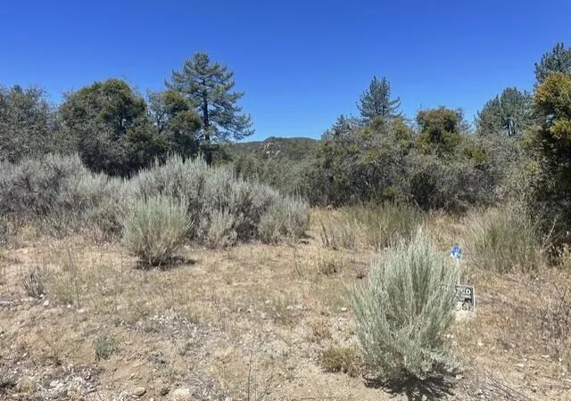 Photo 3 of Land for sale at 0 Devils Ladder, Mountain Center, CA 92561 | MLS# 219149493DA | Listing updated on 2026-09-10