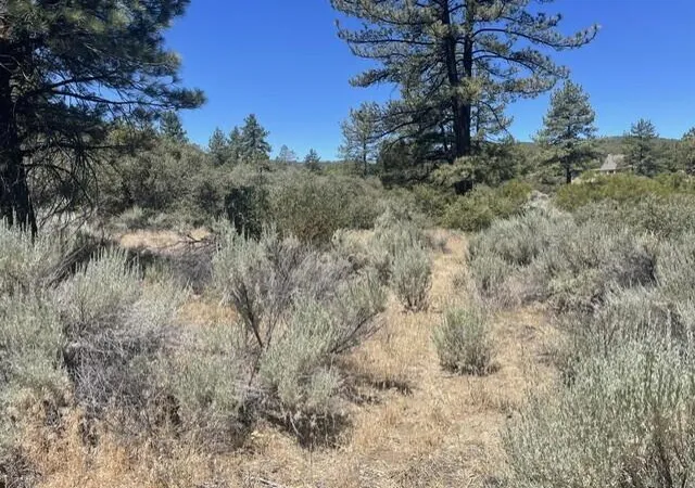 Photo 4 of Land for sale at 0 Devils Ladder, Mountain Center, CA 92561 | MLS# 219149493DA | Listing updated on 2026-09-10