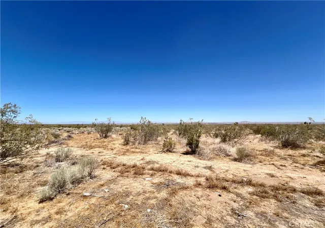 3rd image of 33501 165Th Street E, Llano, CA 93544 | MLS# JT26134569