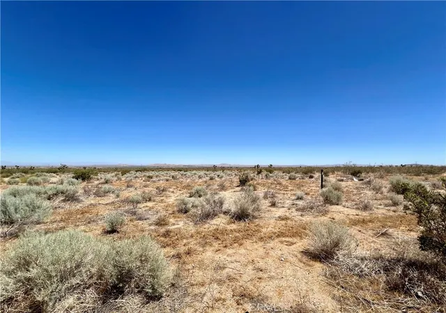 4th image of 33501 165Th Street E, Llano, CA 93544 | MLS# JT26134569