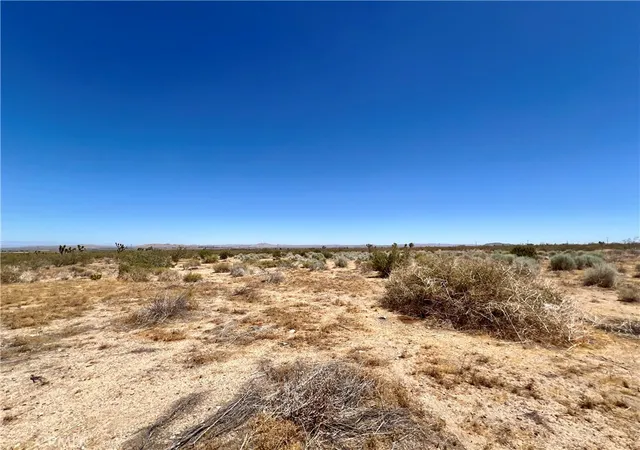 5th image of 33501 165Th Street E, Llano, CA 93544 | MLS# JT26134569