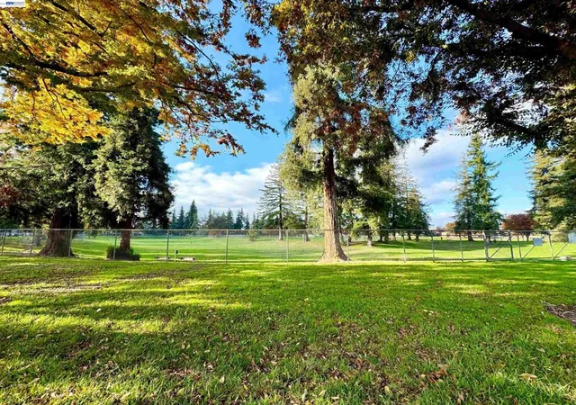 61st image of 838 Virginia Ave, Lodi, CA 95242 | MLS# 41139300