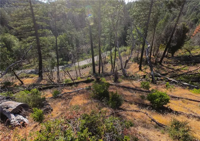 Homes for sale in Cobb, CA | 13627 View Rd, Cobb, CA 95426 | MLS# LC26137016