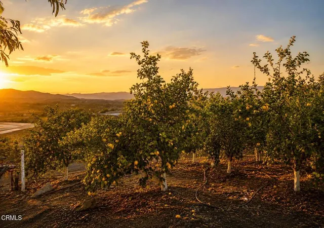 Photo 3 of Land for sale at 0 Ventavo Rd, Moorpark, CA 93021 | MLS# V1-37176 | Listing updated on 2026-06-25