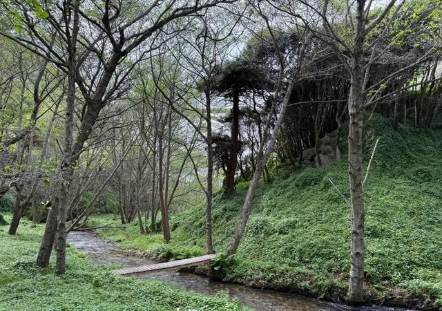 5th image of 39350 Coast Rd, Big Sur, CA 93920 | MLS# ML82050571