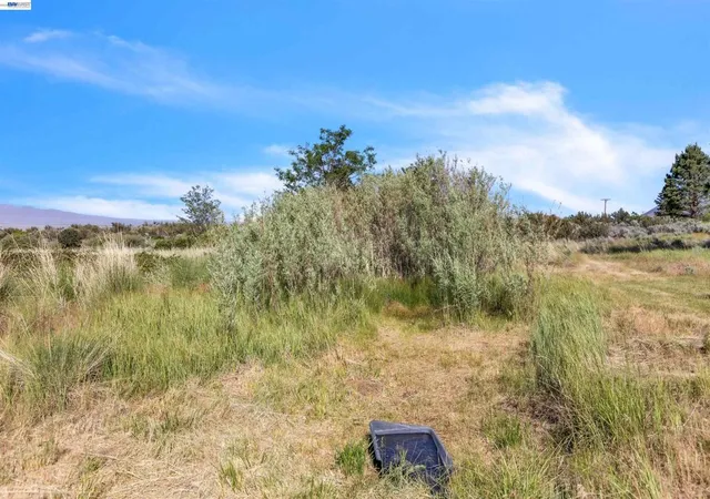 55th image of 452 Us Hwy 395, Milford, CA 96121 | MLS# 41139492