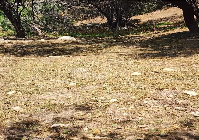 1st image of 7095 Flora Morgan Trl, Tujunga, CA 91042 | MLS# SR26139052