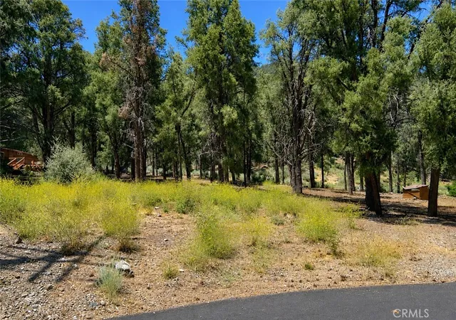 Homes for sale in Pine Mountain Club, CA | 16525 Grizzly Dr, Pine Mountain Club, CA 93222 | MLS# SR26137174
