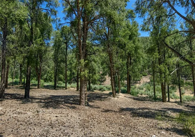 Homes for sale in Pine Mountain Club, CA | 16525 Grizzly Dr, Pine Mountain Club, CA 93222 | MLS# SR26137174
