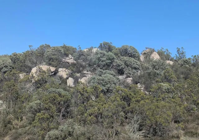 Photo 4 of Land for sale at 778 Crazy Horse Cyn, Aguanga, CA 92536 | MLS# 260015575SD | Listing updated on 2026-06-26