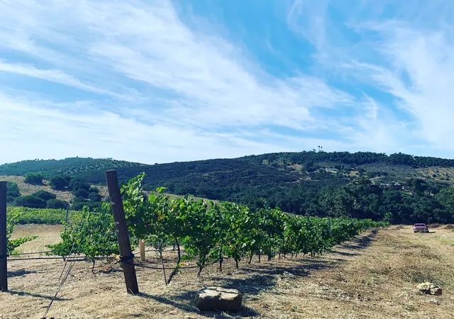 Photo 2 of Land for sale at 12028 Keys Crk, Valley Center, CA 92082 | MLS# SC26139598 | Listing updated on 2026-09-24