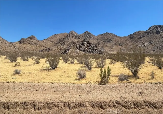 Homes for sale in Lucerne Valley, CA | 30455 Holmes Rd, Lucerne Valley, CA 92356 | MLS# HD26139901