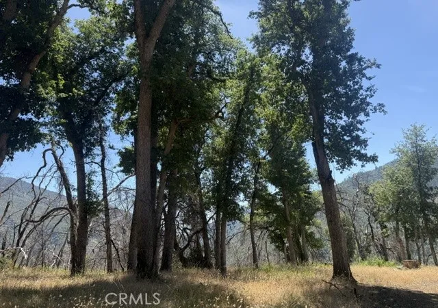 5th image of 24 N #35 Rd, Paskenta, Paskenta, CA 96074 | MLS# SN26139743