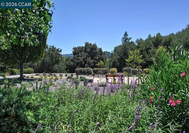 1st image of 2025 Golden Rain Rd #7, Walnut Creek, CA 94595 | MLS# 41139836