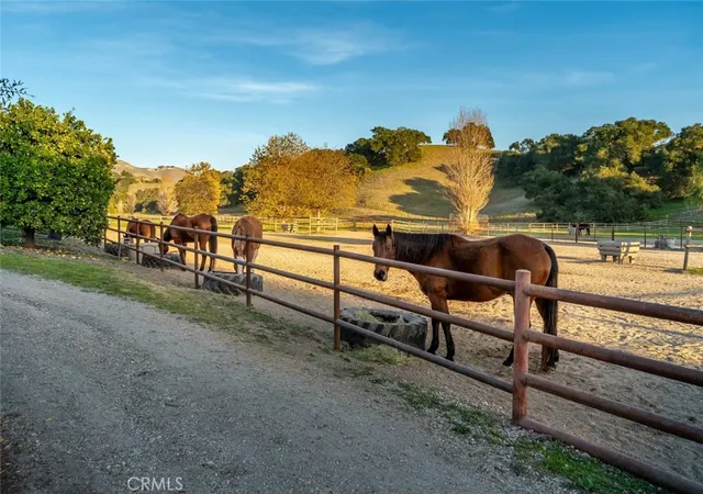 Photo 75 of Single family home for sale at 2520 Nightshade Pl, Arroyo Grande, CA 93420 | MLS# SC26115799 | Listing updated on 2026-09-30
