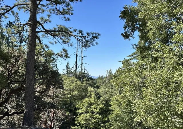 1st image of 0 Mountain View Dr, Idyllwild, CA 92549 | MLS# 219149707DA