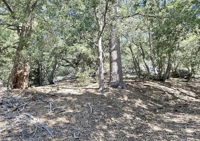 20th image of 0 Mountain View Dr, Idyllwild, CA 92549 | MLS# 219149707DA