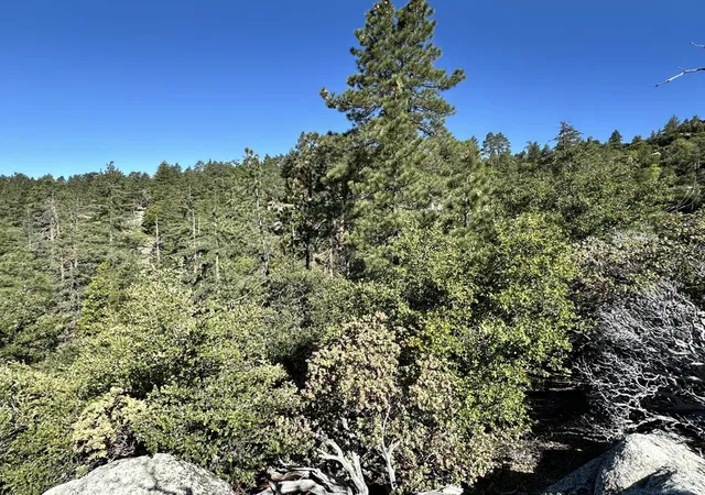 4th image of 0 Mountain View Dr, Idyllwild, CA 92549 | MLS# 219149707DA