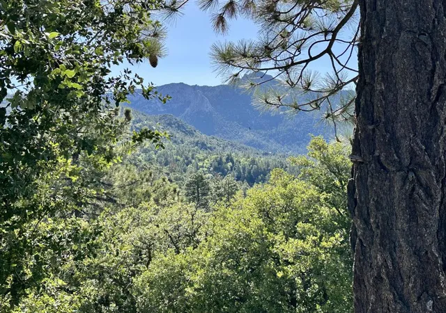 5th image of 0 Mountain View Dr, Idyllwild, CA 92549 | MLS# 219149707DA