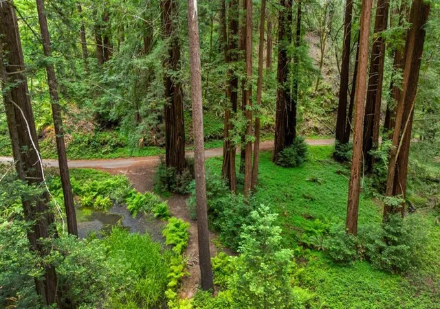 Homes for sale in Scotts Valley, CA | 27 Willis Rd, Scotts Valley, CA 95066 | MLS# ML82052504