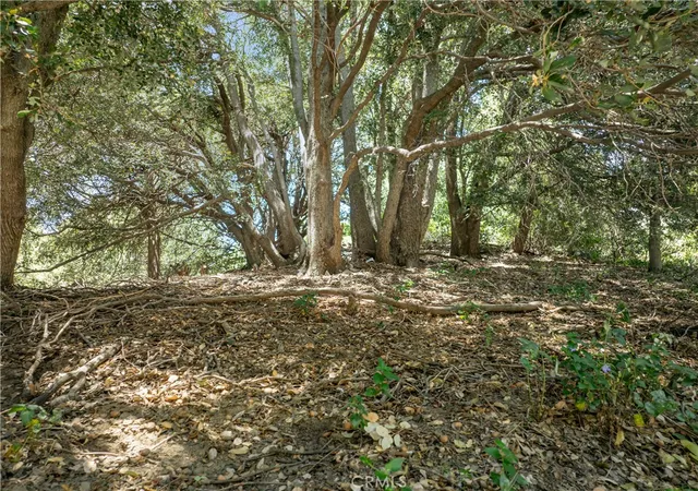 4th image of 2727 Delle, Crestline, CA 92325 | MLS# IG26140688