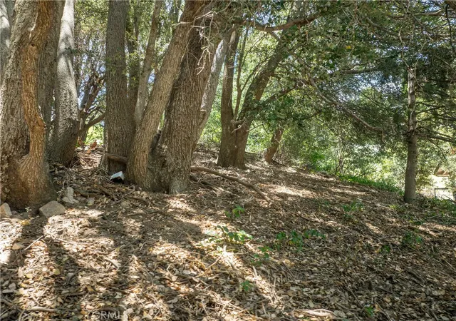 5th image of 2727 Delle, Crestline, CA 92325 | MLS# IG26140688