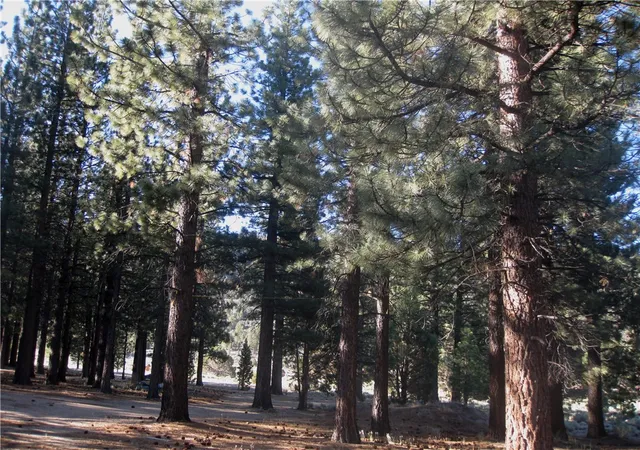 1st image of 2818 Erwin Ranch Rd, Big Bear City, CA 92314 | MLS# IV26139942