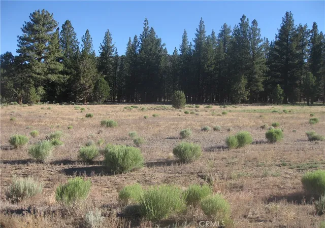 2nd image of 2818 Erwin Ranch Rd, Big Bear City, CA 92314 | MLS# IV26139942