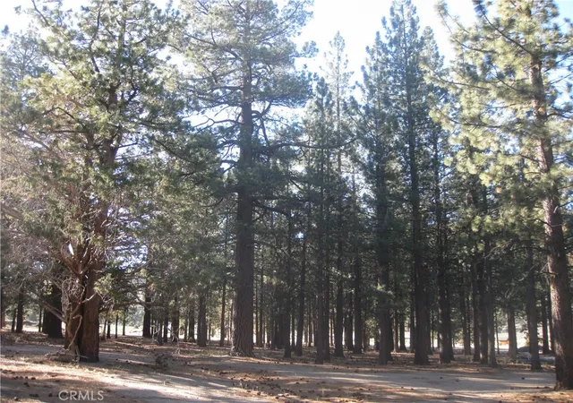 3rd image of 2818 Erwin Ranch Rd, Big Bear City, CA 92314 | MLS# IV26139942