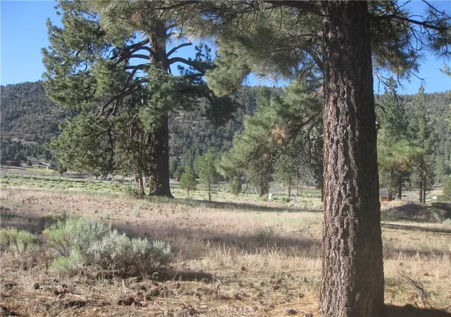 2nd image of 2824 Erwin Ranch Road, Big Bear City, CA 92314 | MLS# IV26139833
