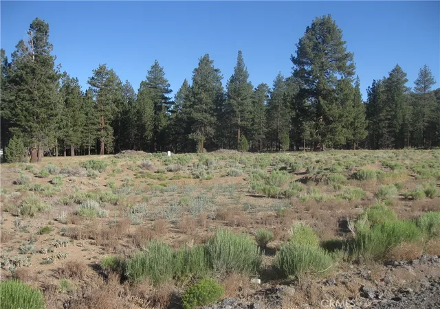 Photo 3 of Land for sale at 2824 Erwin Ranch Rd, Big Bear City, CA 92314 | MLS# IV26139833 | Listing updated on 2026-06-29