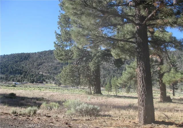 4th image of 2824 Erwin Ranch Road, Big Bear City, CA 92314 | MLS# IV26139833
