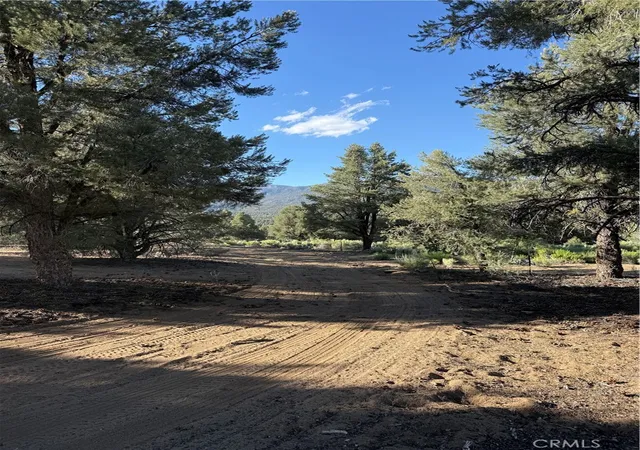 1st image of 0 310 240 020 Grumpy Bear Trl, Kennedy Meadows, CA 93527 | MLS# CV26141138