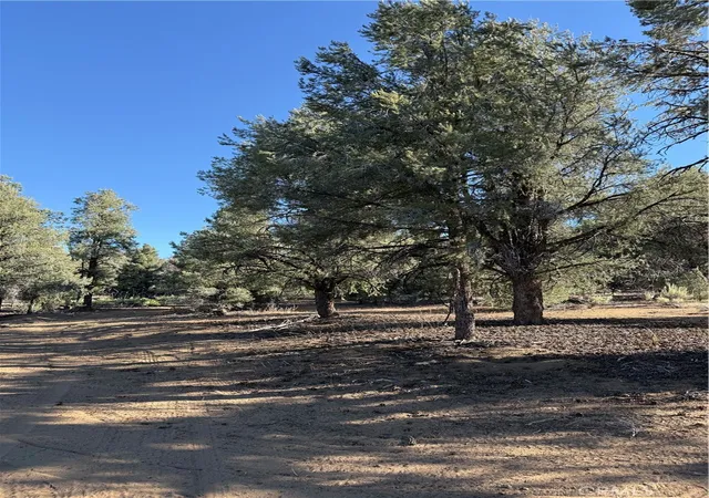 4th image of 0 310-240-020 Grumpy Bear Trl, Kennedy Meadows, CA 93527 | MLS# CV26141138