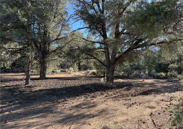 5th image of 0 310-240-020 Grumpy Bear Trl, Kennedy Meadows, CA 93527 | MLS# CV26141138