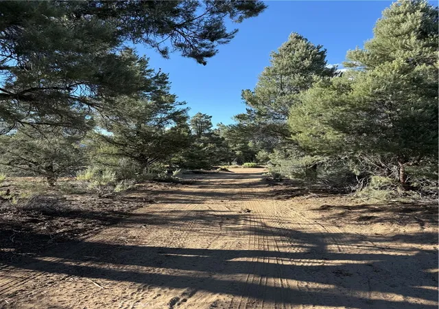 9th image of 0 310 240 020 Grumpy Bear Trl, Kennedy Meadows, CA 93527 | MLS# CV26141138