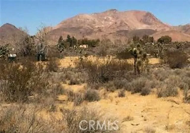 2nd image of 7494 Mojave Tropico Rd, Mojave, CA 93501 | MLS# PV26141120