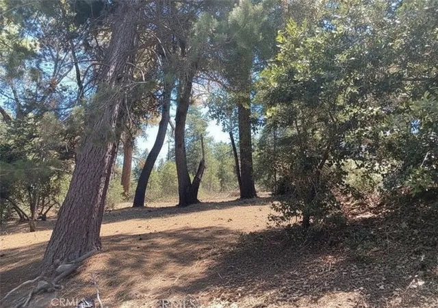Photo 3 of Land for sale at 1102 Chateau Dr, Crestline, CA 92325 | MLS# IG26141434 | Listing updated on 2026-07-03