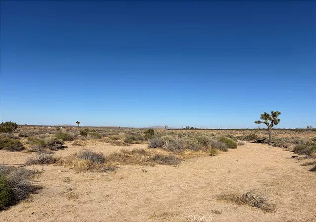 2nd image of 0 Avenue F2 & 195th St E, Hi Vista, CA 93535 | MLS# CV26141855