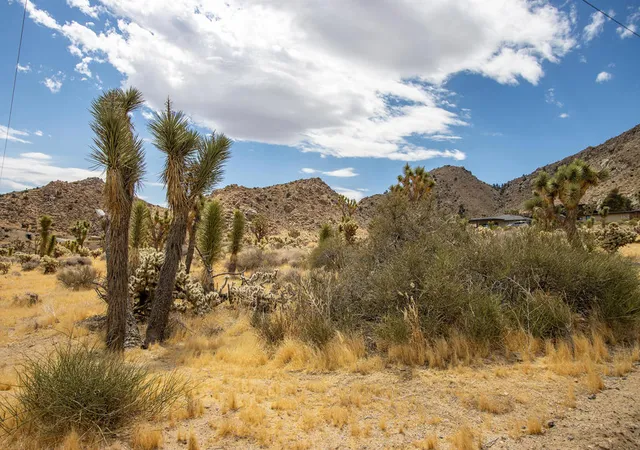 4th image of 8021 Wesley Rd, Joshua Tree, CA 92252 | MLS# 219149763PS