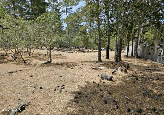 4th image of 0 Tweed Ave, Cambria, CA 93428 | MLS# 226003104
