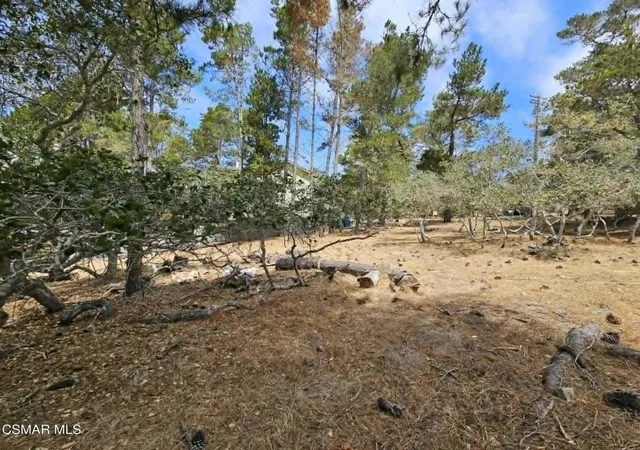 8th image of 0 Tweed Ave, Cambria, CA 93428 | MLS# 226003104